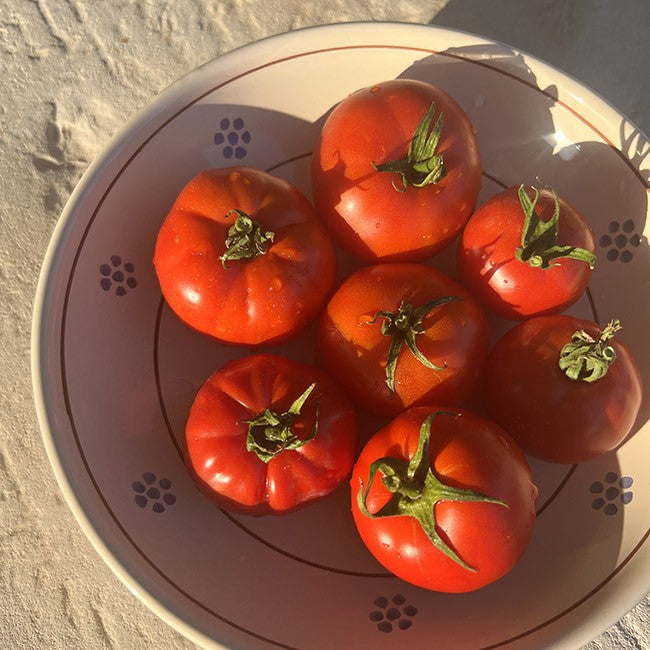 Petit Saladier Puglia 22 cm