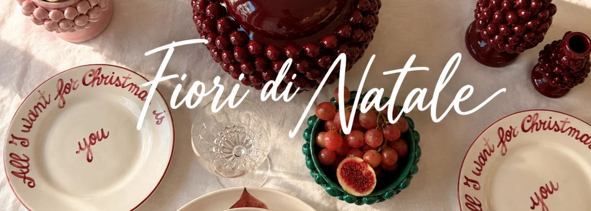 Banner noel Fiori di natale