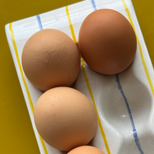 Yellow Stripes Egg Box