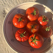 Saladier Puglia 26 cm