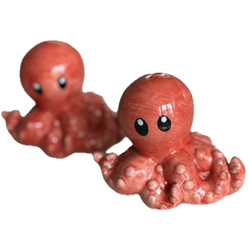 Salt and Pepper Octopus