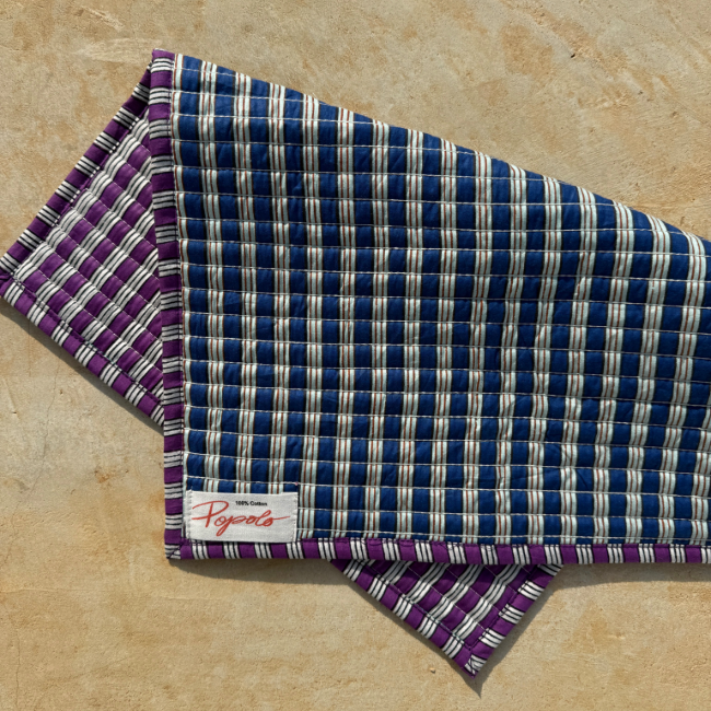 Set de Table Rayé Bleu et Violet