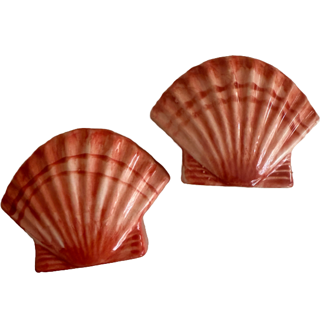 Sel et Poivre Coquillage éventail